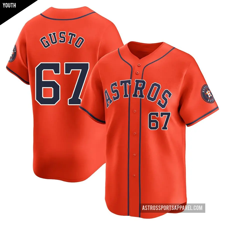 Youth Houston Astros ＃67 Ryan Gusto Limited Orange Alternate Jersey